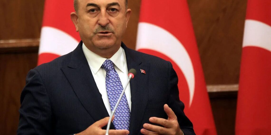 Turkish Foreign Minister Mevlüt Çavuşoğlu
