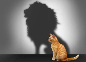 Photo: psy-style.com