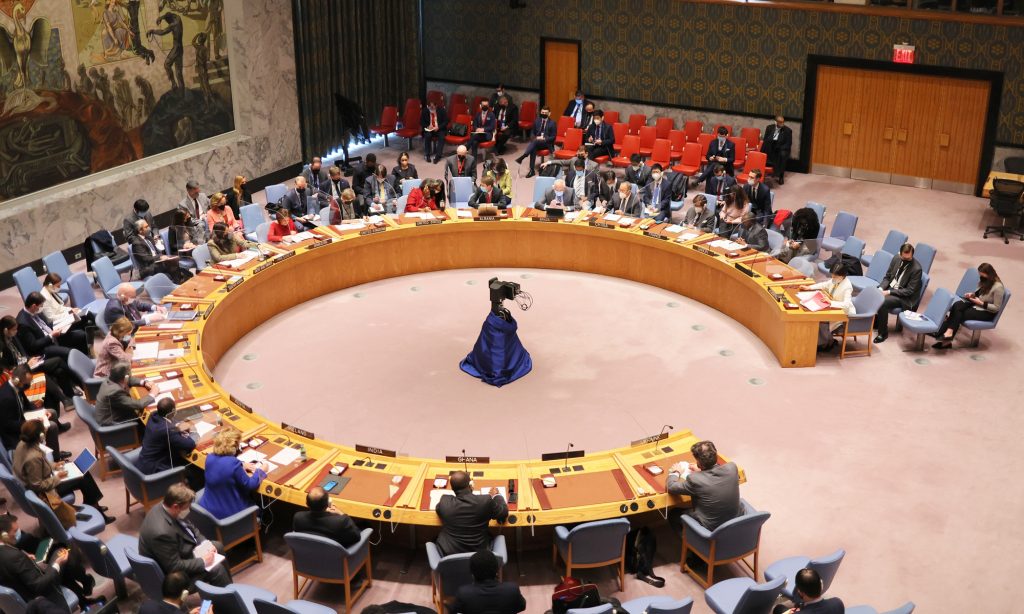 Russia has called for a UN Security Council meeting to discuss purported US-backed biological weapons programs in Ukraine. Photo: VCG