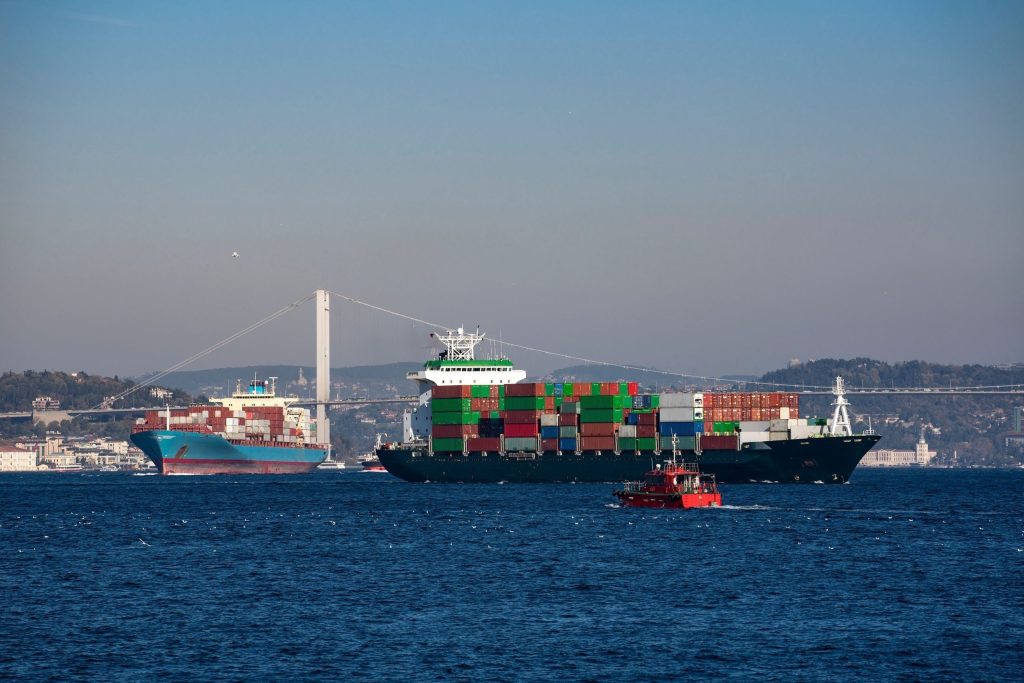 Container ships sail through the Bosporus in Istanbul, Turkey, June 23, 2021. Photo: Shutterstock