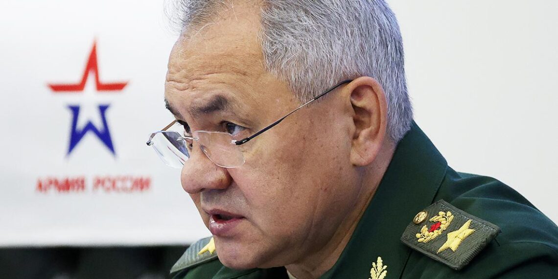 Russian Defense Minister Sergei Shoigu. Image: RBC
