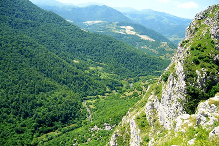 Shushi. Photo: Realist News Agency