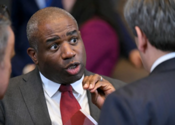 David Lammy
