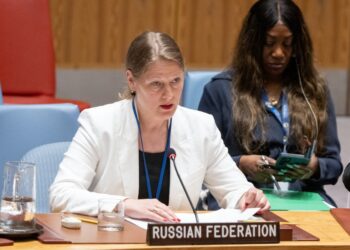 Maria Zabolotskaya, Deputy Permanent Representative of Russia to the UN