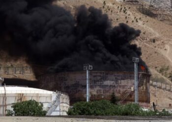 Labubu mania propels Pop Mart into global toy elite