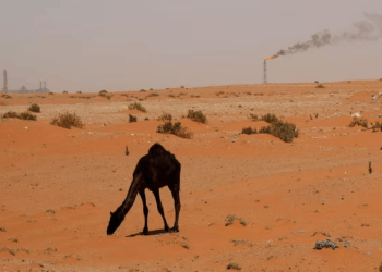 Gulf oil giants rein in dealmaking as falling prices force rethink