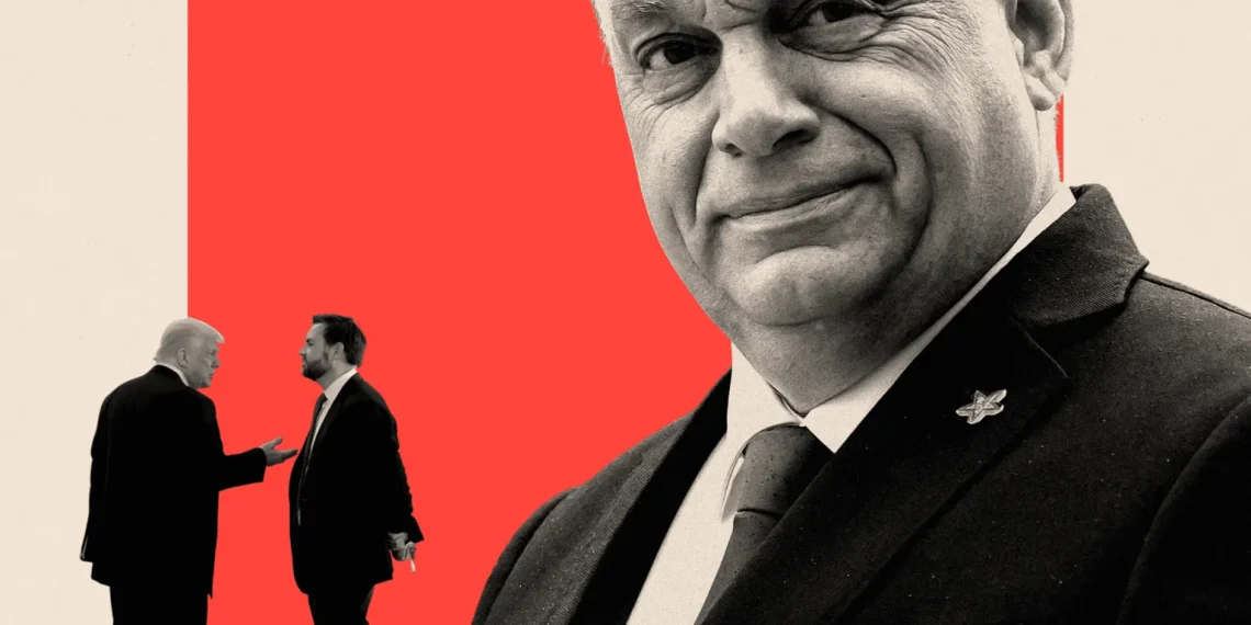Orban under pressure: Hungary’s ‘illiberal democracy’ faces a centre-right challenger