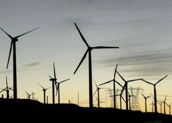 Trump cancels $679m in offshore wind funding, prioritises fossil fuels