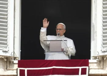 Pope Leo denounces Elon Musk’s fortune as symbol of runaway inequality