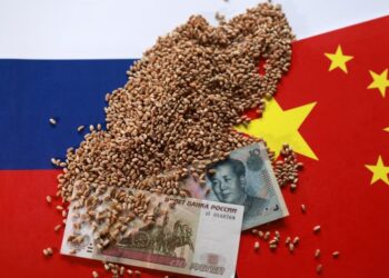 Pope Leo denounces Elon Musk’s fortune as symbol of runaway inequality