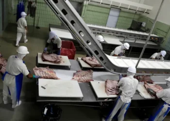 Brazil’s beef exports to China surge as trade tensions with U.S. reshape global agriculture