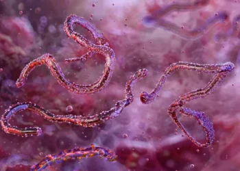 US weighs historical parallels as calls grow for action against Maduro