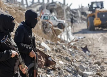 Hamas signals willingness to halt attacks for up to a decade if Israel fully withdraws from Gaza, Palestinian official says