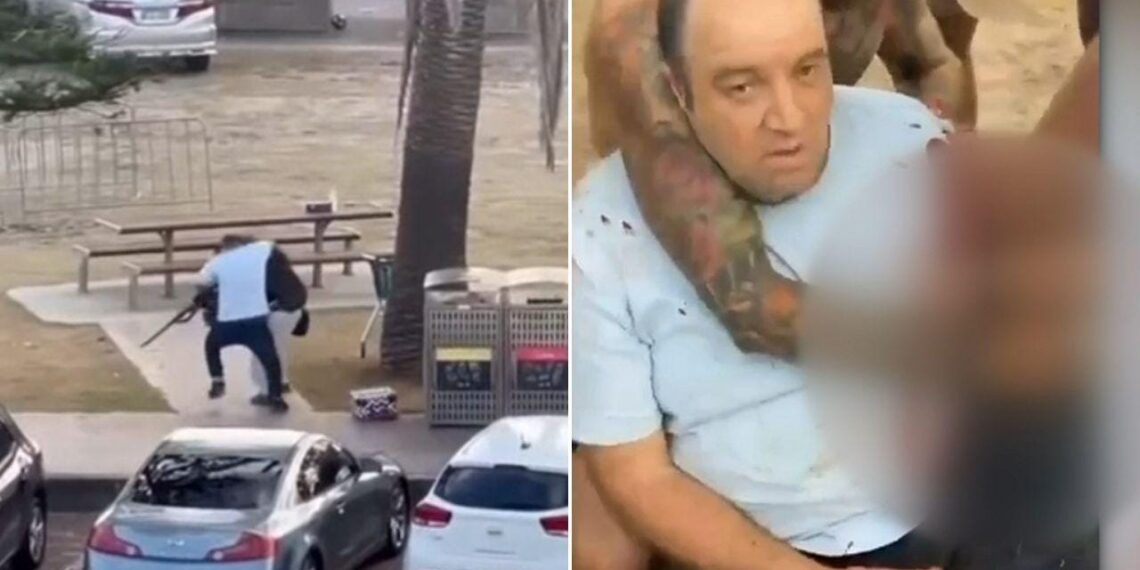 Bystander disarms gunman during Bondi Beach attack, is hailed as hero