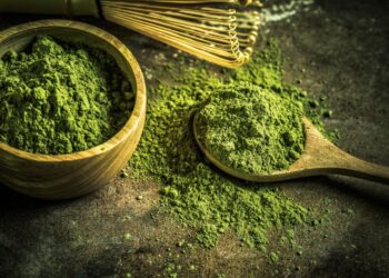 YouTube CEO says he restricts his children’s social media use amid growing concern over online harms