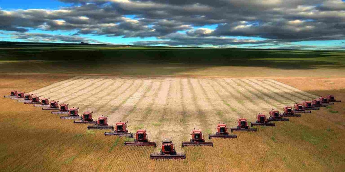 YouTube CEO says he restricts his children’s social media use amid growing concern over online harms