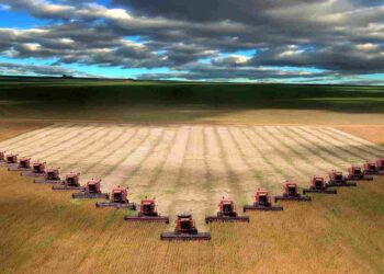 YouTube CEO says he restricts his children’s social media use amid growing concern over online harms