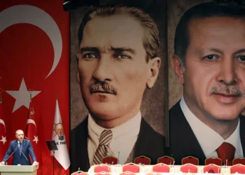 China vows closer ties with Tanzania, reaffirms support for African sovereignty