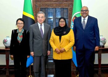 China vows closer ties with Tanzania, reaffirms support for African sovereignty