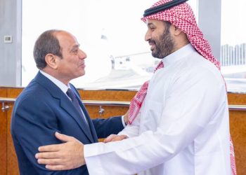 Riyadh and Cairo coordinate response to rising regional threats