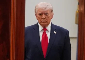 China pushes AI-driven power grid to boost energy security