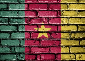 Cameroon approves vice president role amid opposition backlash