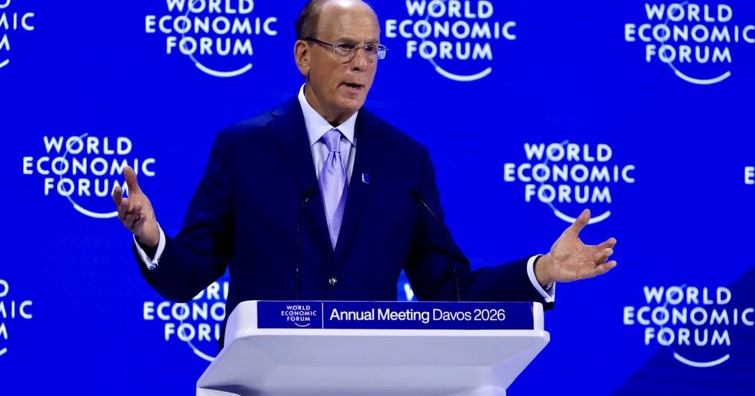 ‘Capitalism is facing a crisis of legitimacy’: Larry Fink on inequality, AI and the evolution of markets