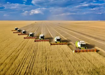 China and Kazakhstan launch grain hub