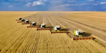 China and Kazakhstan launch grain hub