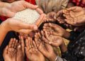 Oil Shock Worsens the Plight of the Poor in Asia and Africa