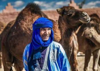 62% for China, 36% for Russia: Afrobarometer Surveys Reveal the Balance of Sympathies in North Africa