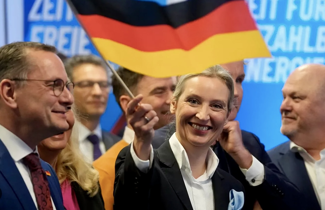 Pistorius and Özdemir Call for Ban on AfD’s “Völkisch” Wing