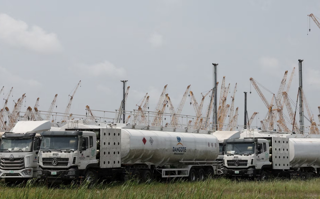 Dangote Pushes IPO in Africa Through Egypt