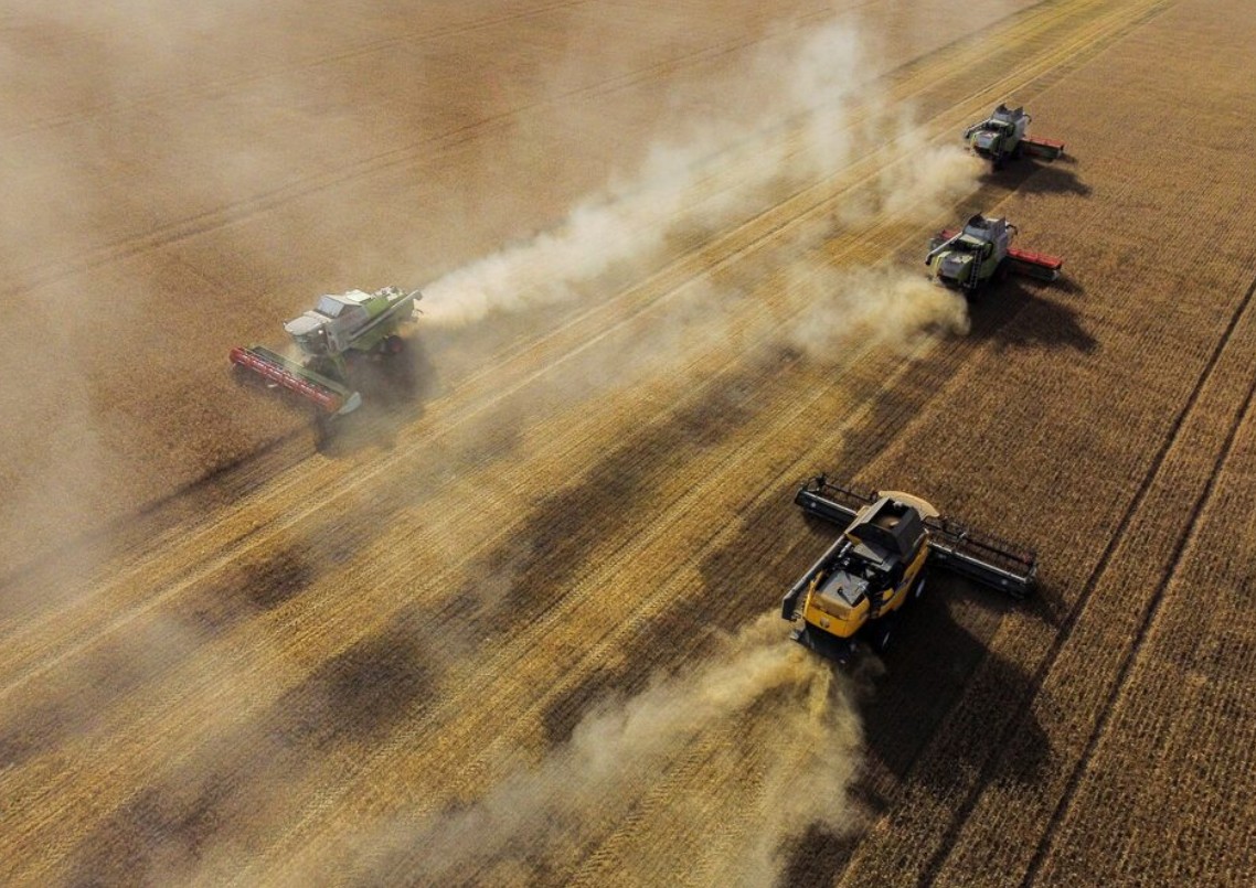 Wheat Prices Fall Amid Black Sea Truce Hopes